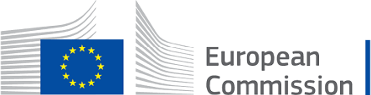 La FSG es admitida en tres nuevos  grupos consultivos de la Comisin Europea (DG Justice y DG Regio)