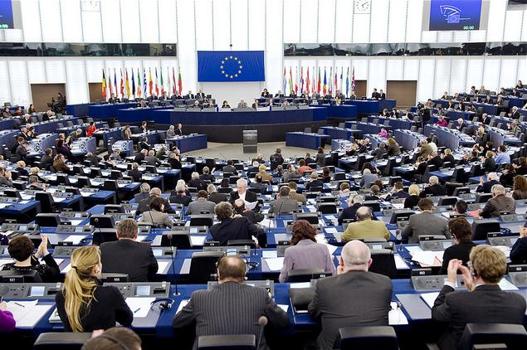 Declaracin conjunta sobre la aprobacin de la Resolucin del Parlamento Europeo en la que se insta a la Comisin a poner en marcha un Plan de Accin Europeo para la erradicacin de asentamientos chabolistas de poblacin gitana 