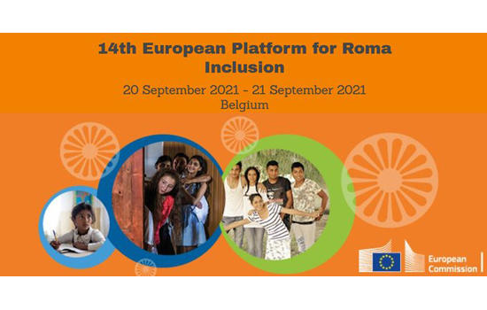14 Plataforma Europea para la Inclusin de la Poblacin Gitana