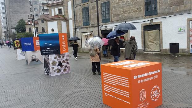 Exposicin de la campaa municipal “Fame Cero” en Pontevedra