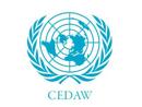 La Fundacin Secretariado Gitano denuncia una discriminacin ante Naciones Unidas 