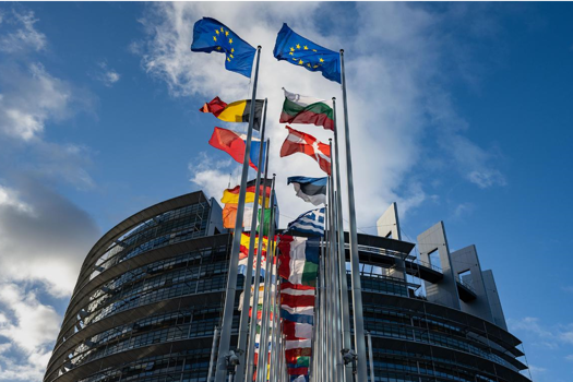 A European Parliament without Roma representation?